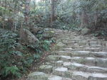 DSCF4015_hh.jpg
