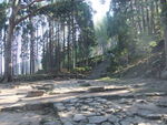 DSCF4016_hh.jpg