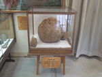 DSCF4068_hh.jpg