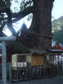 DSCF4093_hh.jpg