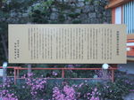 DSCF4109_hh.jpg