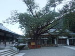DSCF4112_hh.jpg