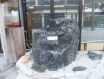 DSCF4132_hh.jpg