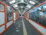 DSCF4168_hh.jpg