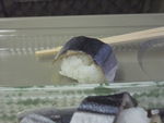 DSCF4175_hh.jpg