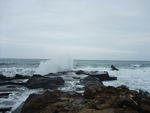 DSCF4278_hh.jpg