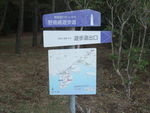 DSCF4280_hh.jpg