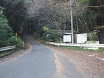 DSCF4353_hh.jpg