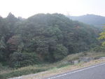 DSCF4362_hh.jpg