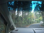 DSCF4373_hh.jpg