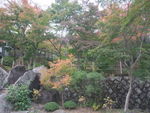 DSCF4396_hh.jpg