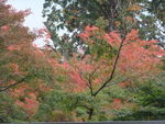DSCF4400_hh.jpg
