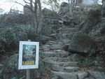 DSCF4414_hh.jpg