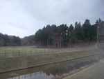 DSCF4894_hh.jpg