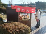 DSCF5198_hh.jpg