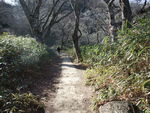 DSCF0185_hh.jpg