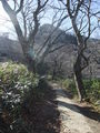 DSCF0186_hh.jpg