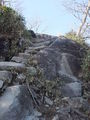 DSCF0194_hh.jpg