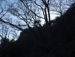 DSCF0198_hh.jpg