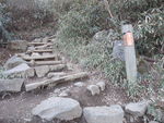 DSCF0200_hh.jpg