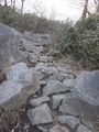 DSCF0202_hh.jpg