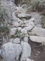 DSCF0204_hh.jpg