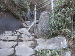 DSCF0206_hh.jpg