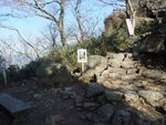 DSCF0217_hh.jpg