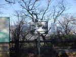 DSCF0219_hh.jpg