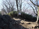 DSCF0221_hh.jpg