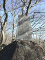 DSCF0230_hh.jpg