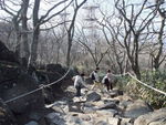 DSCF0237_hh.jpg