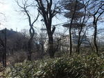 DSCF0238_hh.jpg