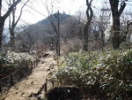 DSCF0239_hh.jpg