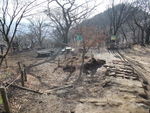 DSCF0240_hh.jpg