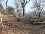 DSCF0241_hh.jpg