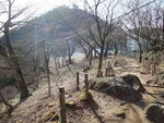 DSCF0242_hh.jpg