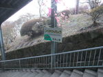 DSCF0256_hh.jpg