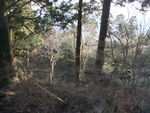 DSCF0257_hh.jpg